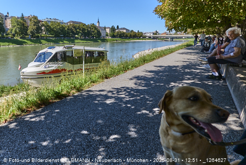Sonntagsspaziergang_in_Salzburg__1264627.jpg